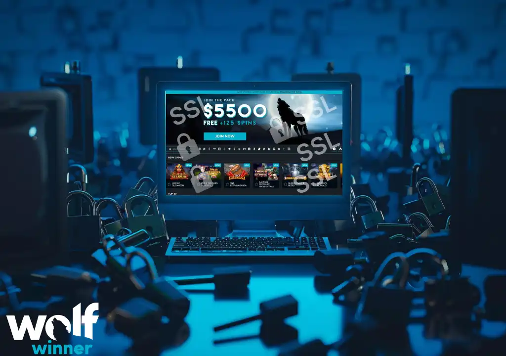 Security and safety Wolf Winner casino